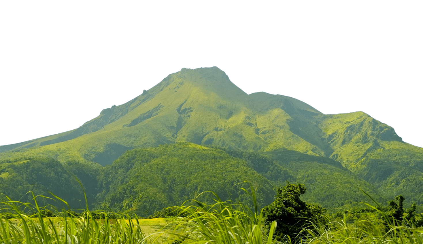 Paréos séchant sur une ligne