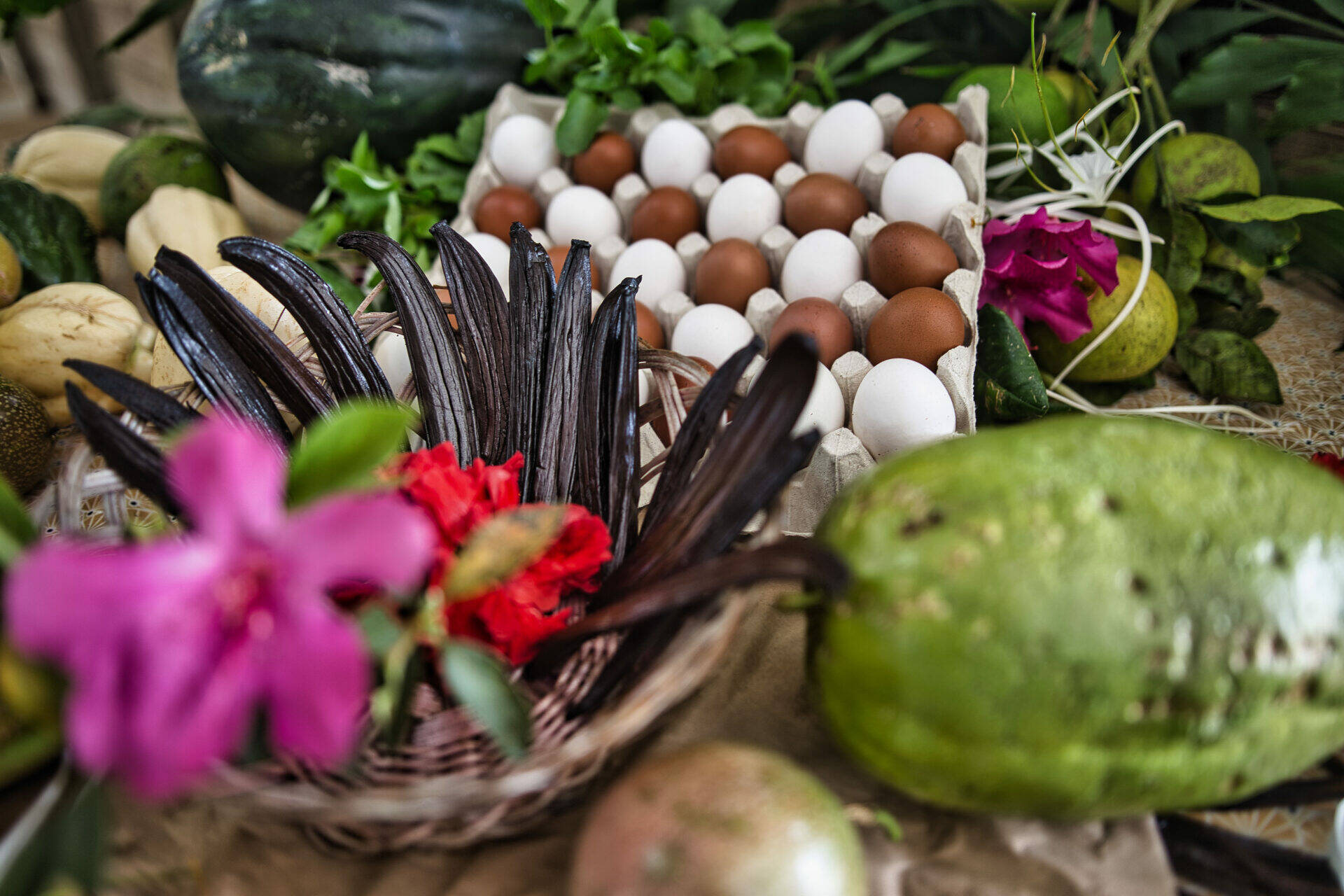 Quelques produits du domaine de la vallée : oeufs, vanille, christophine etc.