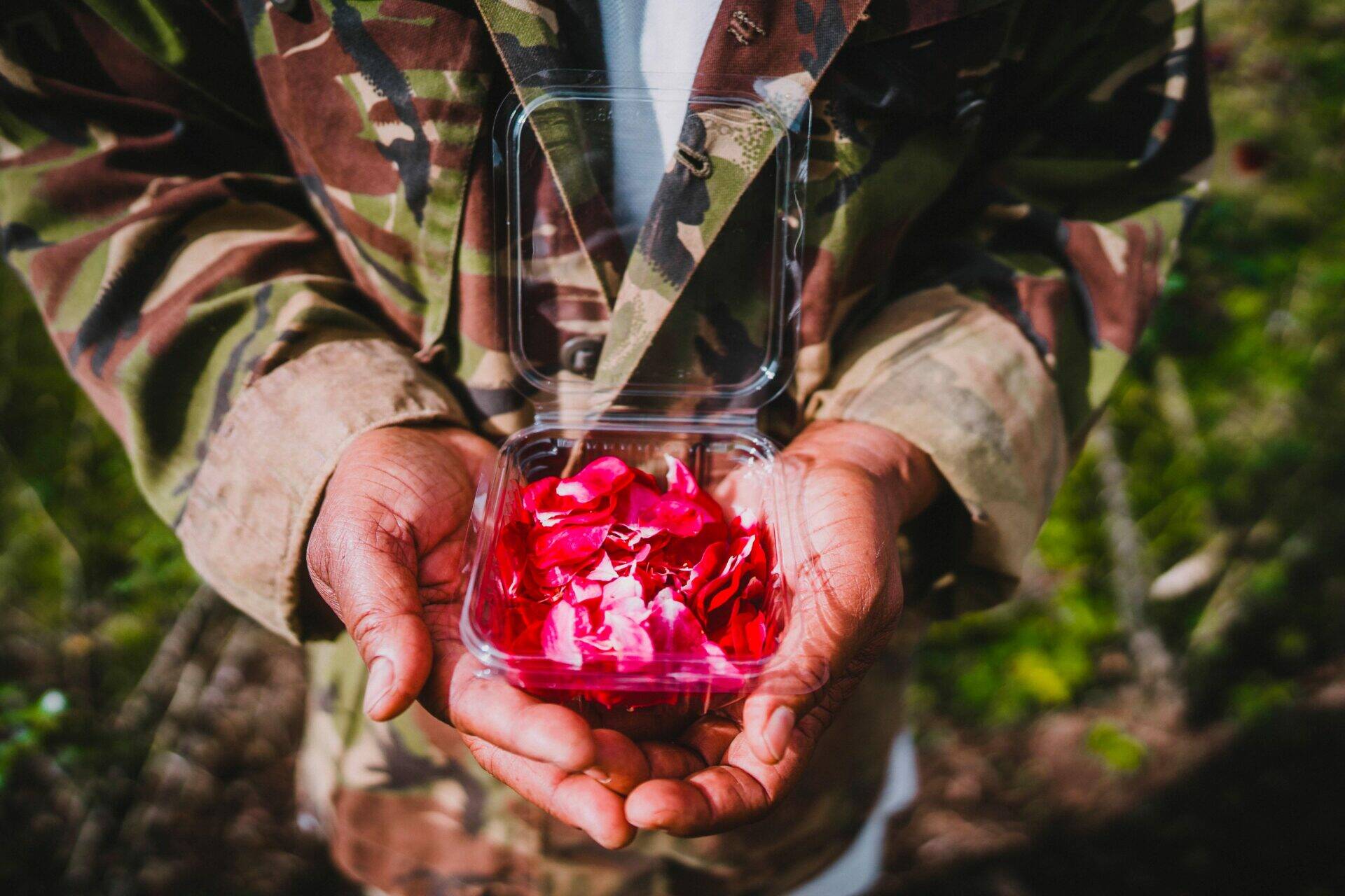 Fleurs comestibles