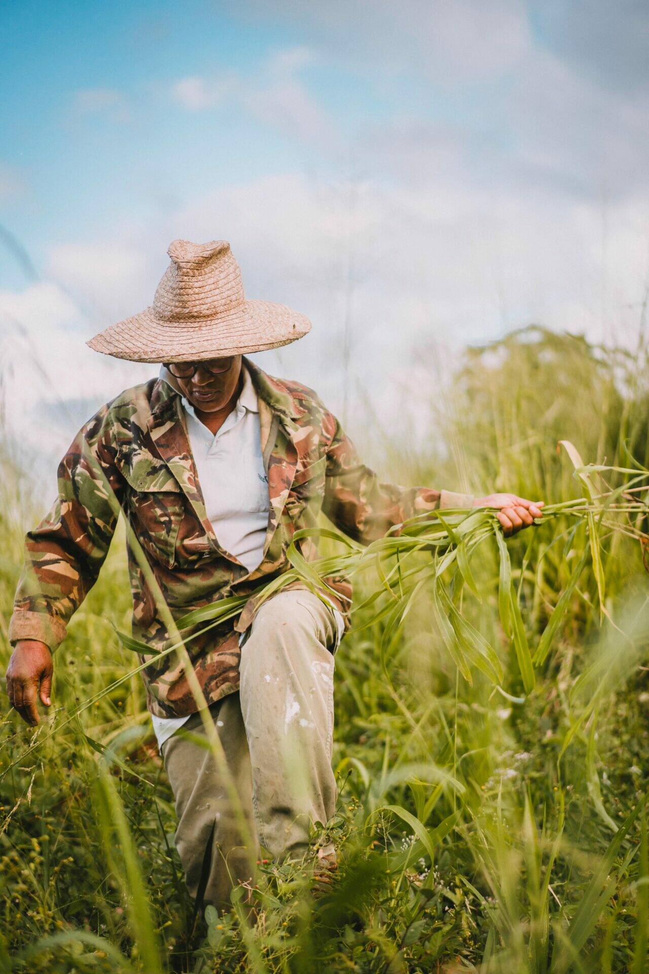 Rose-Hélène arrache des mauvaises herbes